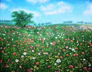 Summer meadow